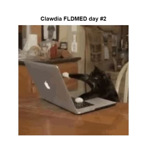 Cat mashing keyboard GIF Maker .